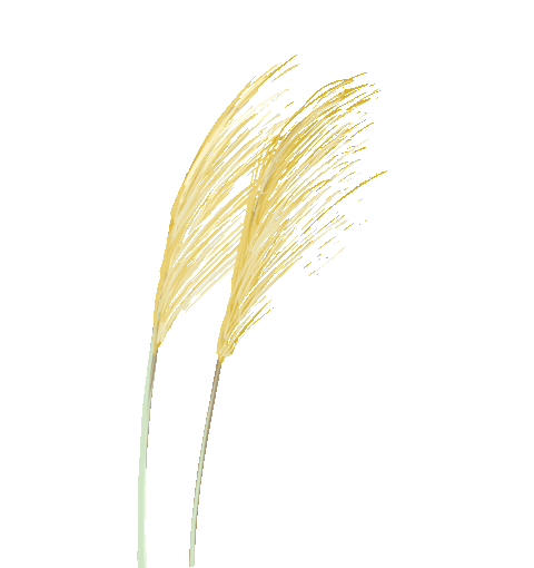 宁夏钢铁传奇：从第一炉钢到创新巅峰