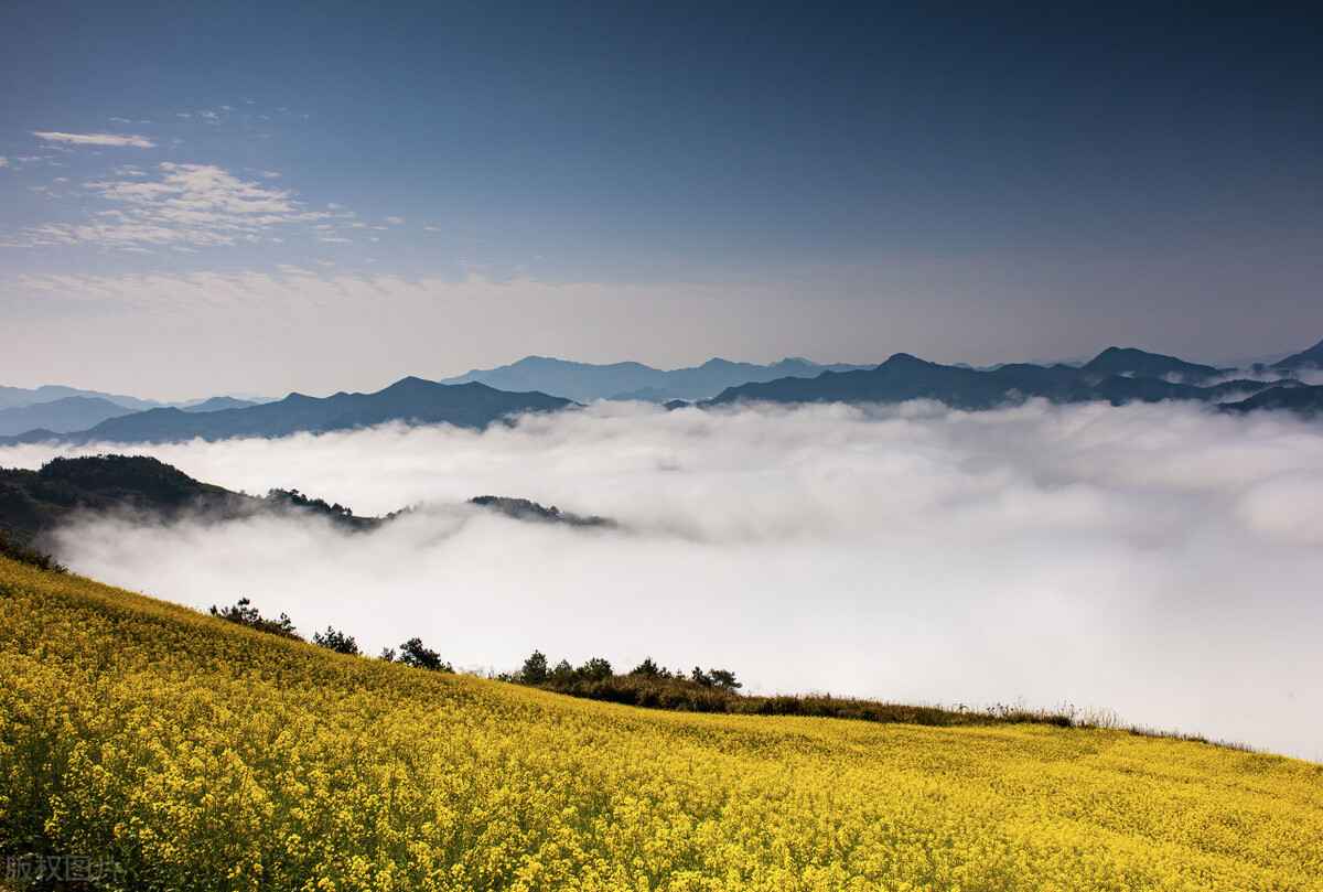 奥仁格管道：安徽省50项重点项目发布，热浸塑钢管需求爆发