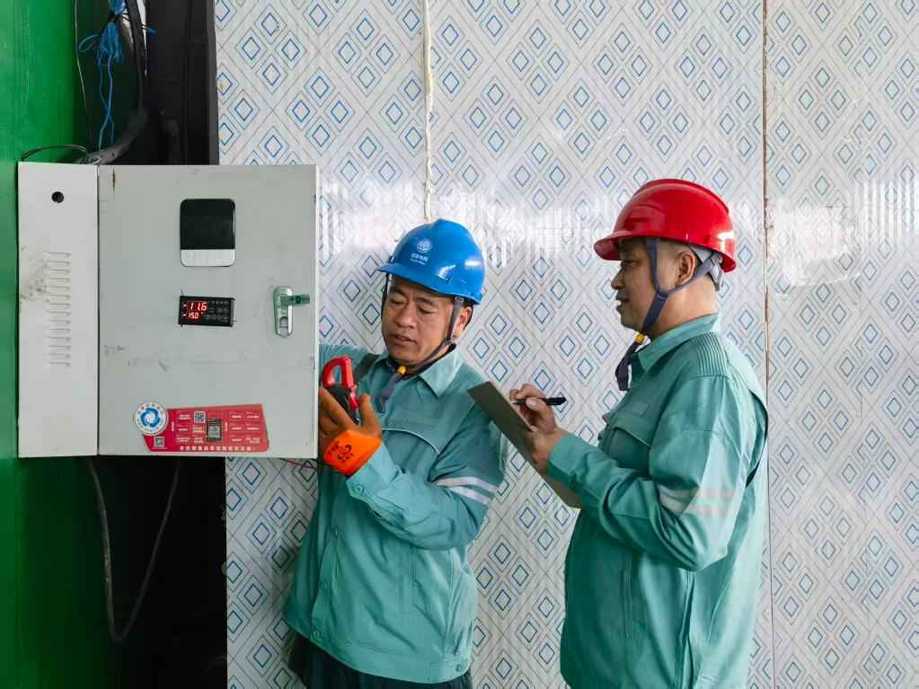 和润电力管 “红灯笼”下话振兴——“柿子沟”丰收一线见闻