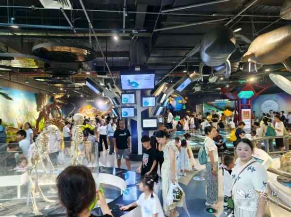 电力科技探索：青少年研学活动点燃科学梦想