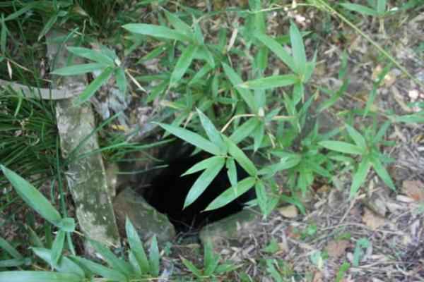 探索无锡古井:每一口井都是历史的活化石 探索无锡古井:每一口井都是历史的活化石