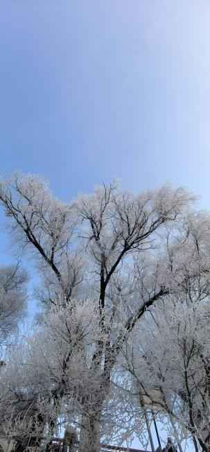 白山电力碳素管 吉林:白山与黑水 白山电力碳素管 吉林:白山与黑水