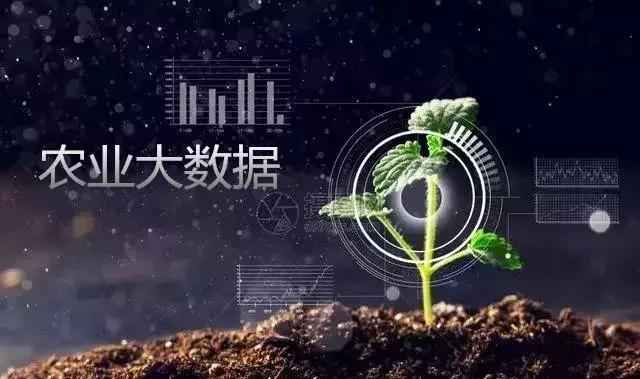 MPP电力管的利润 真牛!新华社为杨凌这家涉农企业转型点赞 MPP电力管的利润 真牛!新华社为杨凌这家涉农企业转型点赞