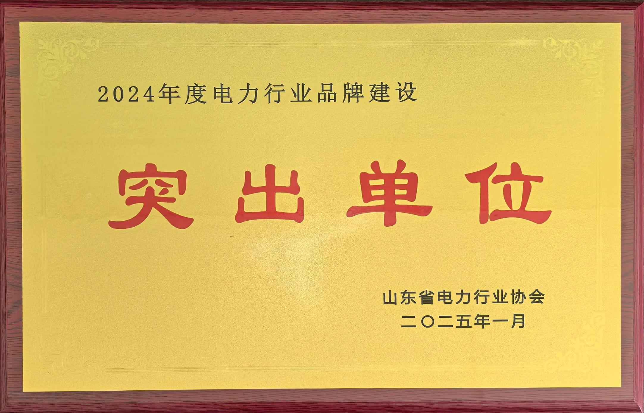 奥仁格管道助力电力品牌建设：山东电建一公司荣获2024年度突出单位
