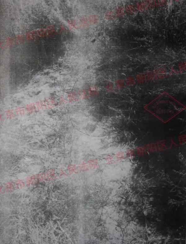 奥仁格管道安全警示：高压垂钓事故全解析