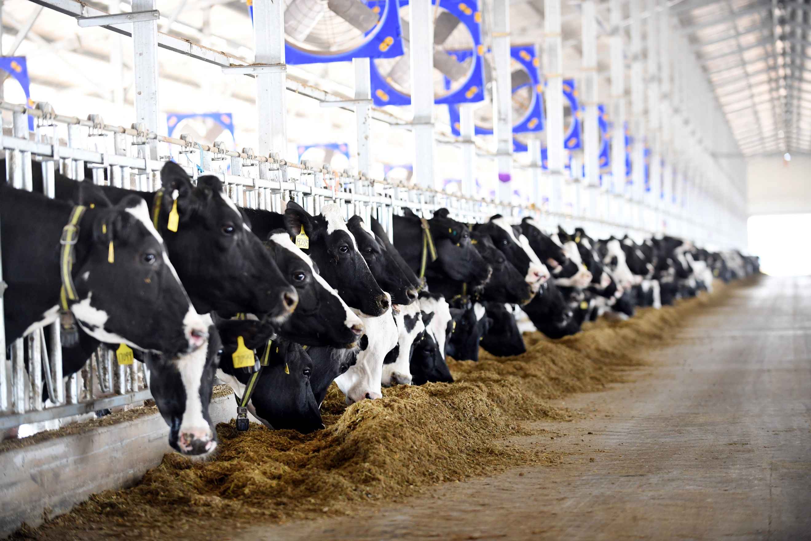 普洱pe电力管价格 超越增长:解码雀巢的“共享价值”经营范式 普洱pe电力管价格 超越增长:解码雀巢的“共享价值”经营范式