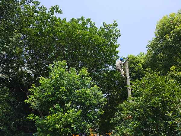 电力入地管设备新突破：浦东首例架空线入地工程高效竣工