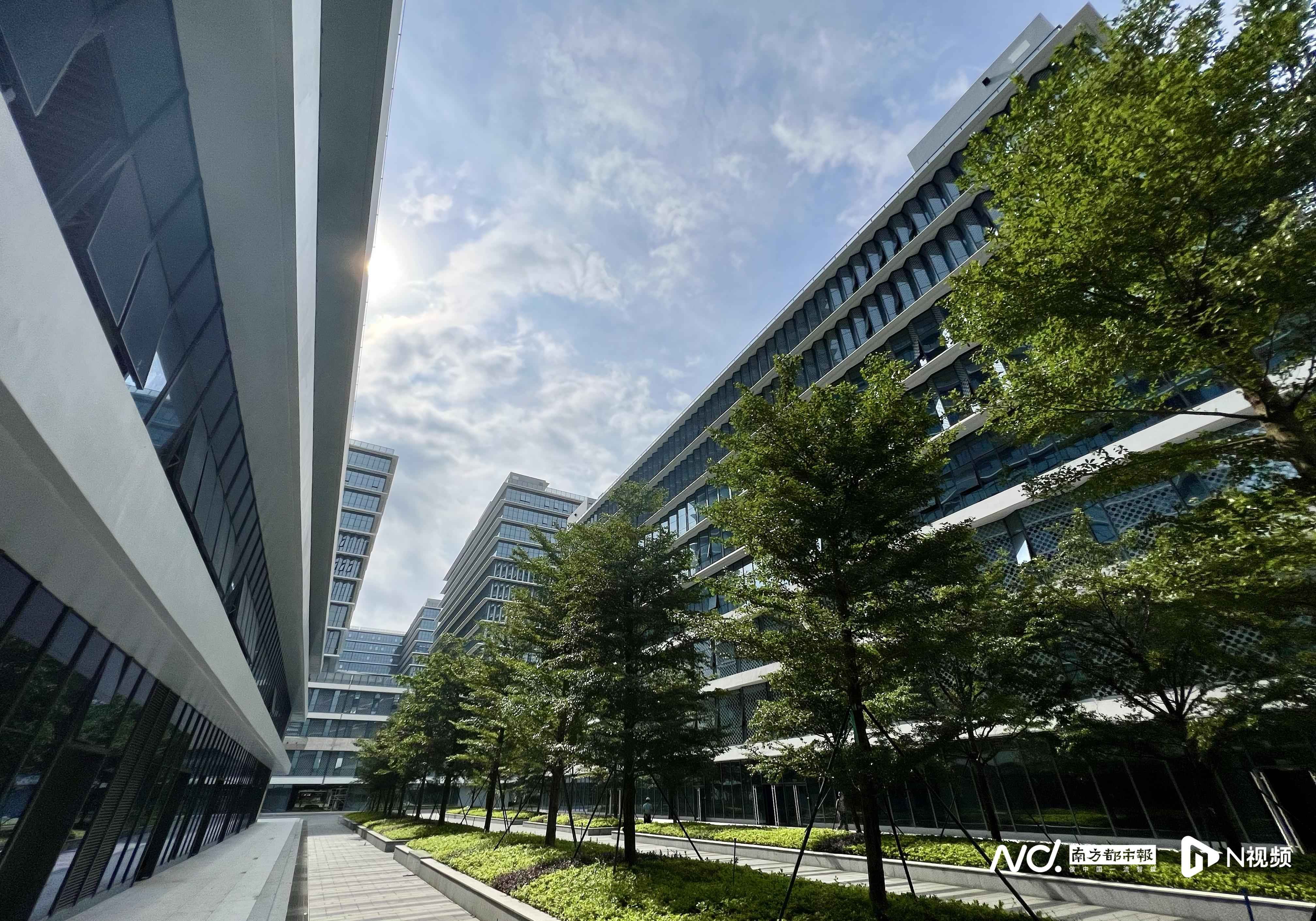 广州黄埔电力管业引领创新：摩天工坊通电项目实现电力外线工程“即申即办”